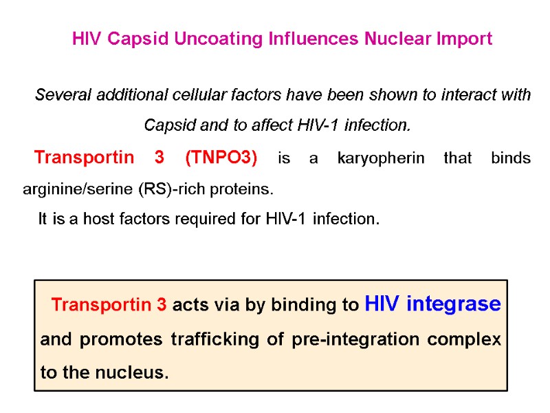 HIV Capsid Uncoating Influences Nuclear Import  Several additional cellular factors have been shown